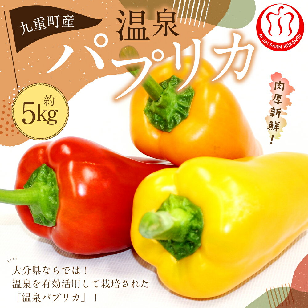【ふるさと納税】温泉パプリカ 5kg パプリカ 野菜 大分県産 九重町産 通年栽培 愛彩ファーム 送料無料 - 画像2