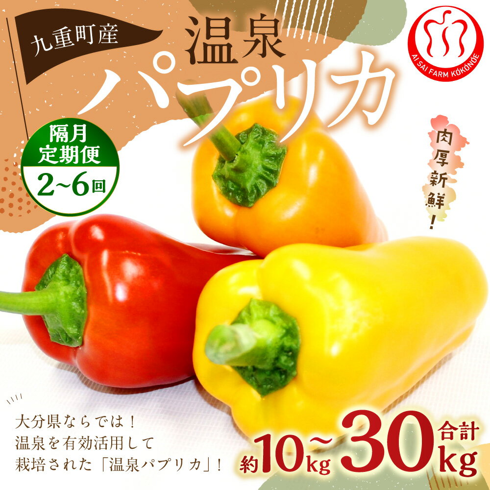 【ふるさと納税】〈選べる定期便〉温泉パプリカ 1回あたり5kg 合計10~30kg 隔月 定期便 2～6ヶ月 パプリカ 野菜 大分県産 九重町産 通年栽培 愛彩ファーム 送料無料 2ヶ月毎 - 画像2