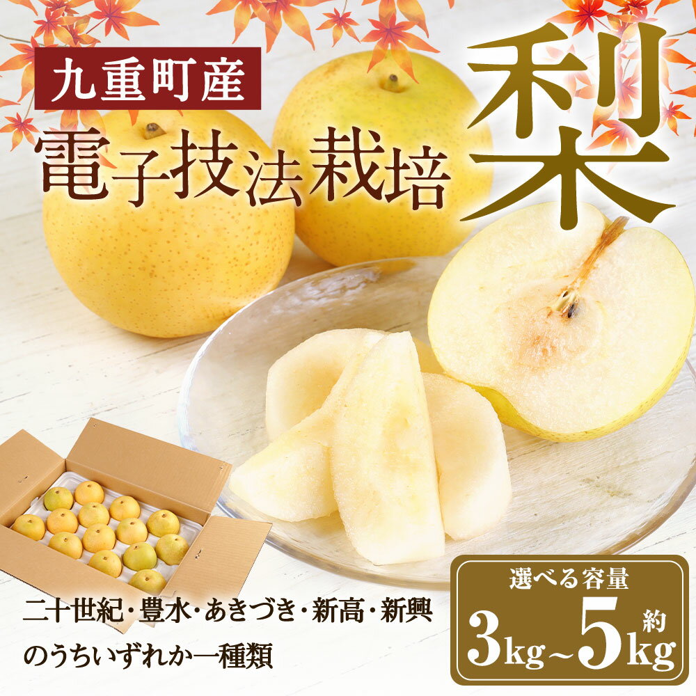 【ふるさと納税】九重町産 電子技法栽培梨 ＜選べる容量＞ 約3kg 約5kg 玉井農園 梨 二十世紀 豊水 あきづき 新高 新興 いずれか1種類をお届け 果物 くだもの フルーツ 旬 ナシ なし 冷蔵 送料無料 【2025年9月上旬-12月上旬発送予定】 サムネイル2