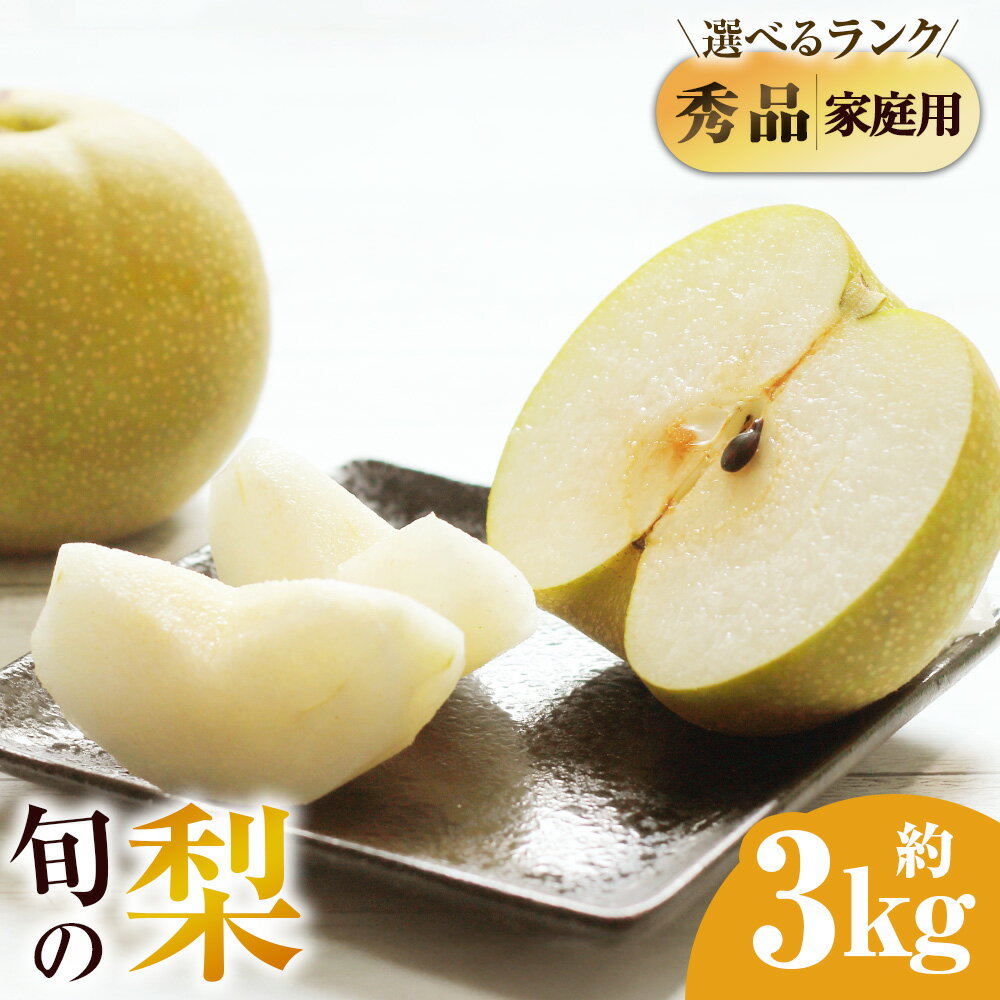 【選べる 秀品/ご家庭用】九重町産 梨 約3kg（約6～8個）8000円～10000円 8千円～1万円 香麗（ こうれい ） 幸水 豊水 あきづき なつしずく なし フルーツ くだもの 果物 先行予約 贈答 冷蔵 大分県 九重町【2026年8月上旬から2026年9月下旬迄順次発送予定】