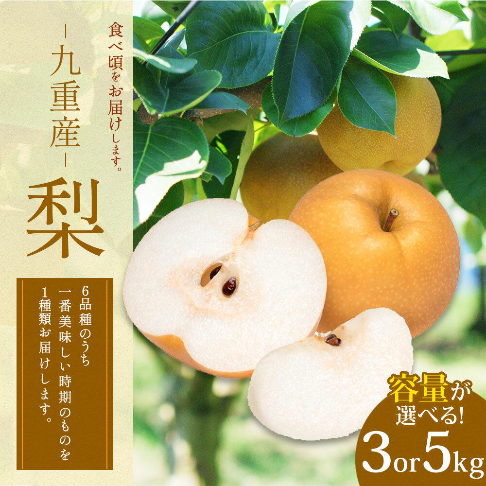 【ふるさと納税】九重産 梨 3L以上〈容量が選べる〉約3kg（5玉～8玉） または 約5kg（8玉～14玉） 梨 ( 二十世紀 あきづき 王秋 新高 豊水 甘太 うちいずれか一種類) 果物 くだもの フルーツ 旬 ナシ なし 冷蔵 送料無料 【2026年9月上旬から10月上旬発送予定】 - 画像2