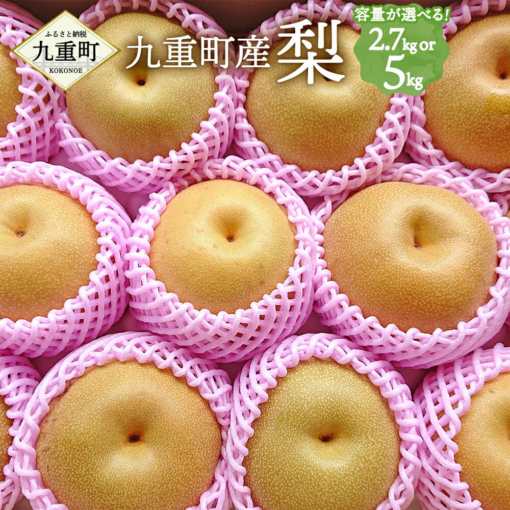 九重町産梨 〈容量が選べる〉約2.7kg または 約5kg 9000円～15000円 9千円～1万5000円 梨 豊水 新高 国産 大分県産 九重町産 フルーツ 果物 くだもの 果実 冷蔵 送料無料 【2026年9月上旬～10月上旬発送予定】