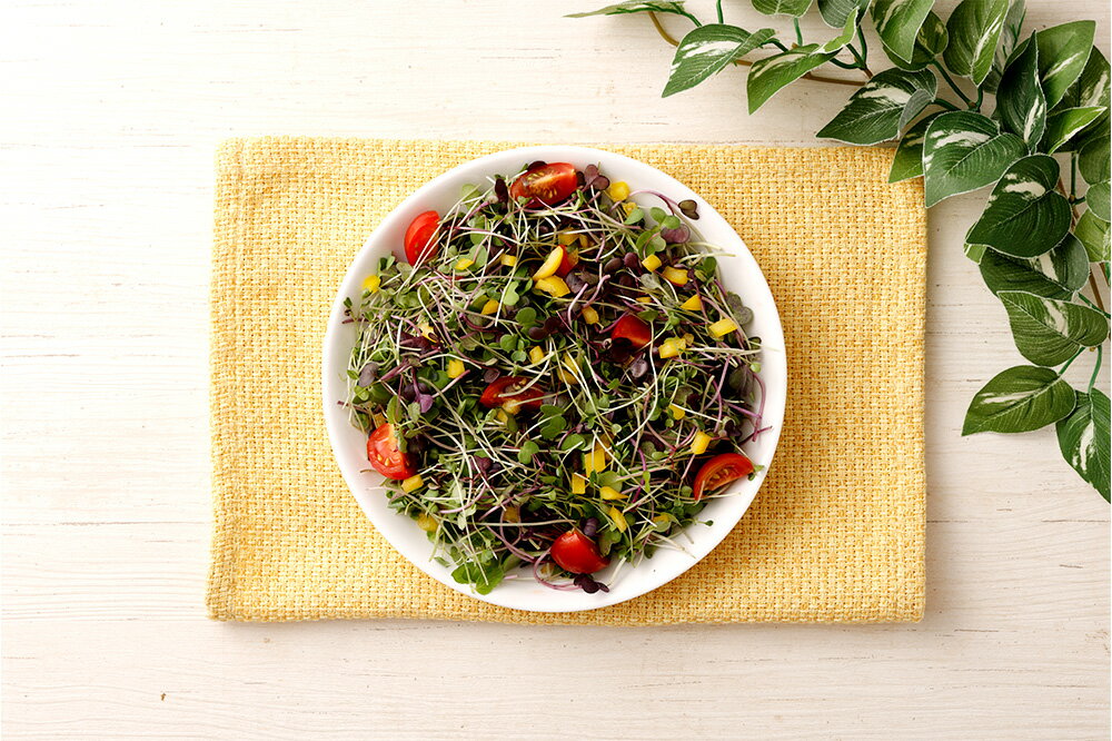 【ふるさと納税】＜選べる定期便＞ マイクロリーフミックス 1回あたり 約140g（70g入りパック×2個）2ヶ月～12ヶ月 栽培期間中農薬・化学肥料不使用 マイクログリーン 国産 九州産 熊本県産 九重町産 冷蔵 選べる 定期便 送料無料 - 画像3