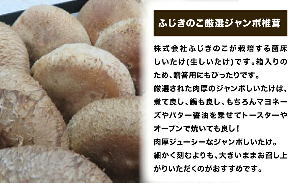 【ふるさと納税】 大分県産 生しいたけ （9〜12枚入り） 贈答用 ジャンボ 椎茸 ( 生しいたけ ) 生しいたけ 箱入り 贈答用 贈り物 肉厚 しいたけ 煮物 鍋 焼き バター醤油 トースター オーブンジューシー 冷蔵保存 - 画像2