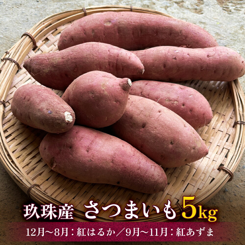 大分県産玖珠産　さつまいも 5kg - 10kg 紅はるか（12月～8月）紅あずま（9月～11月）