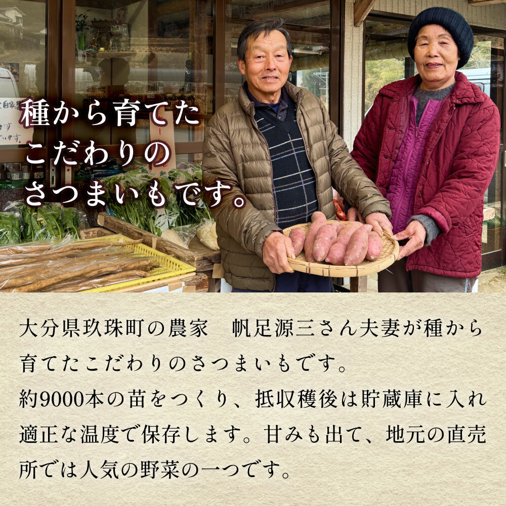 【ふるさと納税】 大分県産玖珠産　さつまいも 5kg - 10kg 紅はるか（12月～8月）紅あずま（9月～11月） - 画像2
