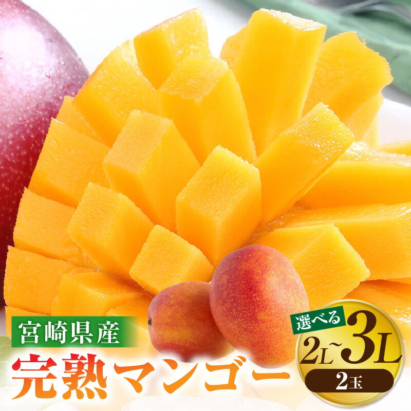 《2026年発送先行予約》【選べるサイズ】【数量・期間限定】宮崎特産品 宮崎県産完熟マンゴー マンゴー 完熟マンゴー 完熟 果物 フルーツ デザート スイーツ 果肉 濃厚な甘み 南国フルーツ 特産品 名物 ご当地グルメ グルメ お取り寄せ 宮崎県 宮崎市