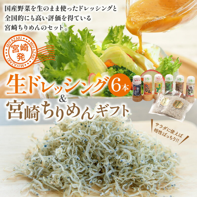 【ふるさと納税】 宮崎発 生ドレッシング 6本 宮崎ちりめん ギフト 国産野菜 ドレッシング ちりめん レシピ付き 和風 宮崎特産 日向夏 ストレート果汁 国産 たまねぎ にんじん 宮崎県産 ピーマン 豚汁みそ らくい マスコ 宮崎県 宮崎市 送料無料 サムネイル2
