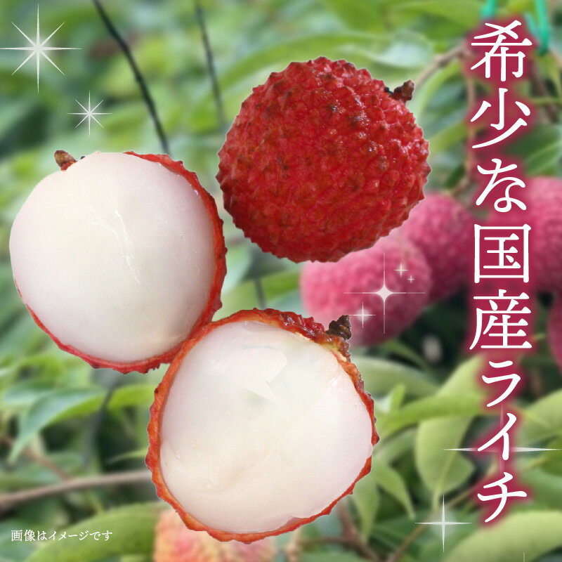 【ふるさと納税】《2026年発送 先行予約》【数量・期間限定】宮崎完熟ライチ化粧箱PREMIUMギフト 果物 果実 果肉 フルーツ フレッシュライチ 南国 宮崎県産 完熟 ライチ 450g 冷蔵 化粧箱 PREMIUM 希少 ギフト お土産 パイオニア 太陽光 宮崎県 宮崎市 送料無料 サムネイル2