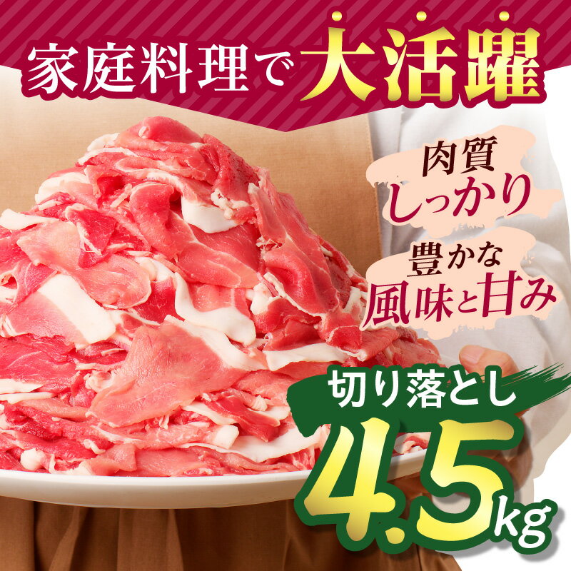 【ふるさと納税】宮崎県産豚肉 切り落とし 4.5kg 豚肉 肉 お肉 精肉 スライス 薄切り 国産 宮崎県産 普段使い 使い勝手 生活応援 小分け パック 冷凍 ストック 料理 炒め物 豚肉料理 おすそ分け 贈り物 ギフト グルメ お取り寄せ お弁当 おかず 人気 宮崎県 宮崎市 送料無料 サムネイル2