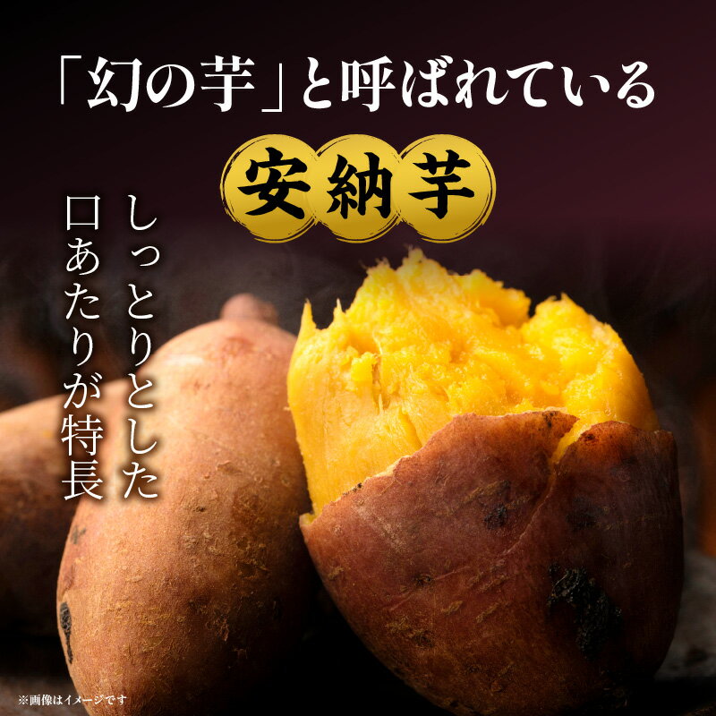 【ふるさと納税】安納石焼芋 10袋セット 石焼 安納芋 芋 石焼芋 サツマイモ デザート 幻の芋 種子島 糖度 20度 黄金色 口当たり 和菓子 遠赤外線 冷凍 甘い スイーツ グルメ お取り寄せ 宮崎県 宮崎市 送料無料 - 画像2