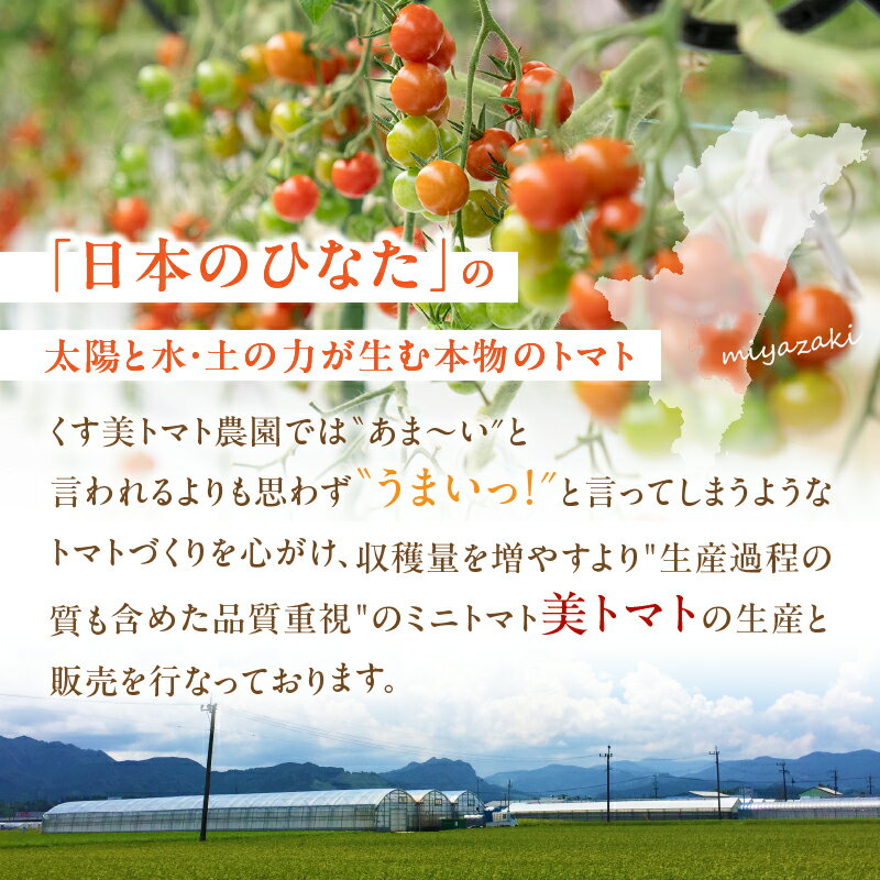 【ふるさと納税】【数量・期間限定】美トマト(5色) 1kg トマト ブランド ブランドトマト ミニトマト カラートマト 野菜 農作物 農産物 食品 農園 旨み 甘味 品質 うまい 甘い グルメ お取り寄せ お取り寄せグルメ おすすめ 常温 くす美トマト農園 宮崎県 宮崎市 送料無料 - 画像2