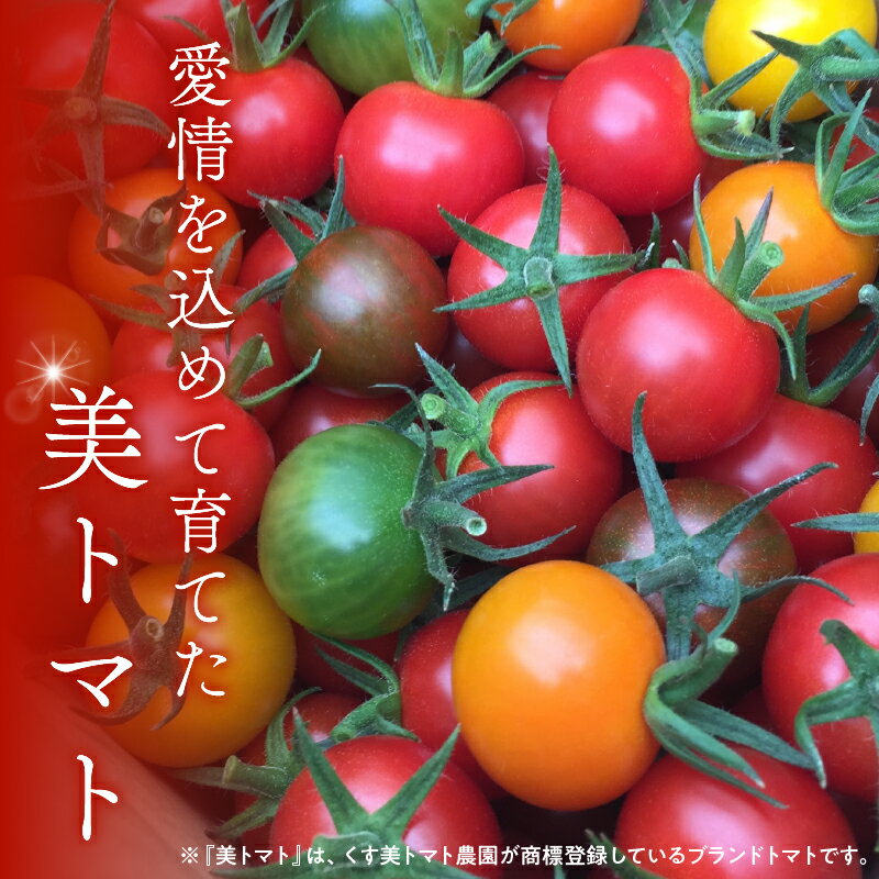 【ふるさと納税】【数量・期間限定】美トマト(5色) 1kg トマト ブランド ブランドトマト ミニトマト カラートマト 野菜 農作物 農産物 食品 農園 旨み 甘味 品質 うまい 甘い グルメ お取り寄せ お取り寄せグルメ おすすめ 常温 くす美トマト農園 宮崎県 宮崎市 送料無料 - 画像3