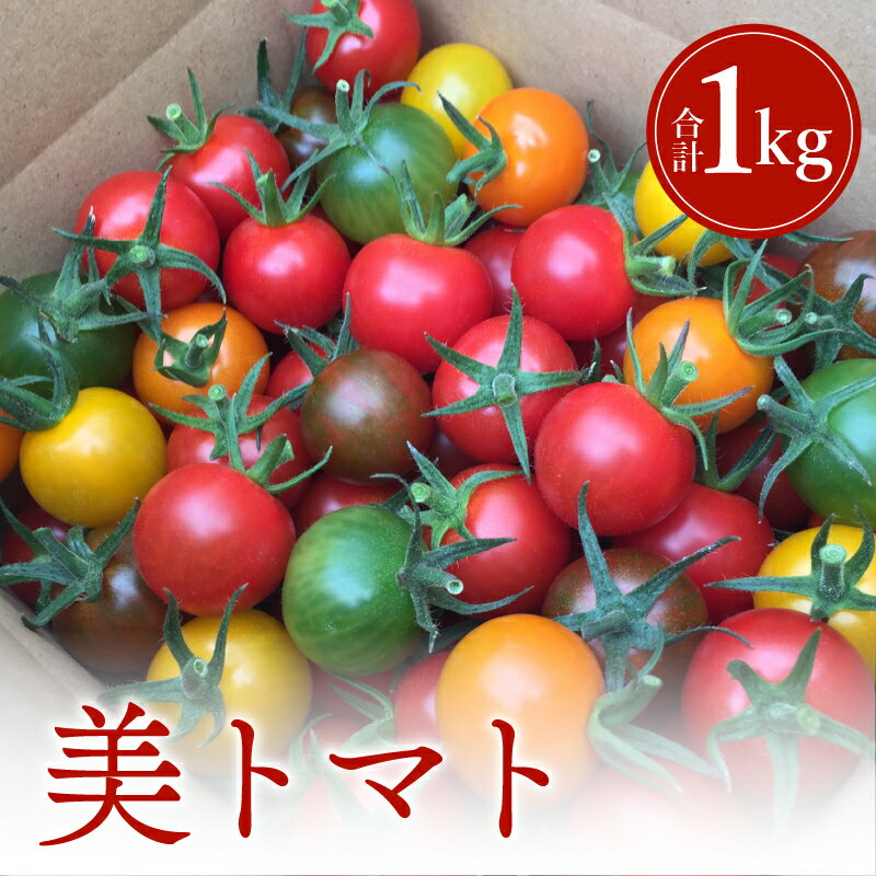 【数量・期間限定】美トマト(5色) 1kg トマト ブランド ブランドトマト ミニトマト カラートマト 野菜 農作物 農産物 食品 農園 旨み 甘味 品質 うまい 甘い グルメ お取り寄せ お取り寄せグルメ おすすめ 常温 くす美トマト農園 宮崎県 宮崎市 送料無料