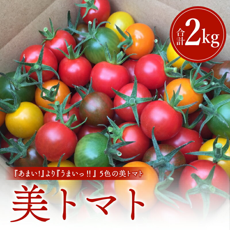 【数量・期間限定】美トマト(5色) 2kg トマト ブランド ブランドトマト ミニトマト カラートマト 野菜 農作物 農産物 食品 農園 旨み 甘味 品質 うまい 甘い グルメ お取り寄せ お取り寄せグルメ おすすめ 常温 くす美トマト農園 宮崎県 宮崎市 送料無料