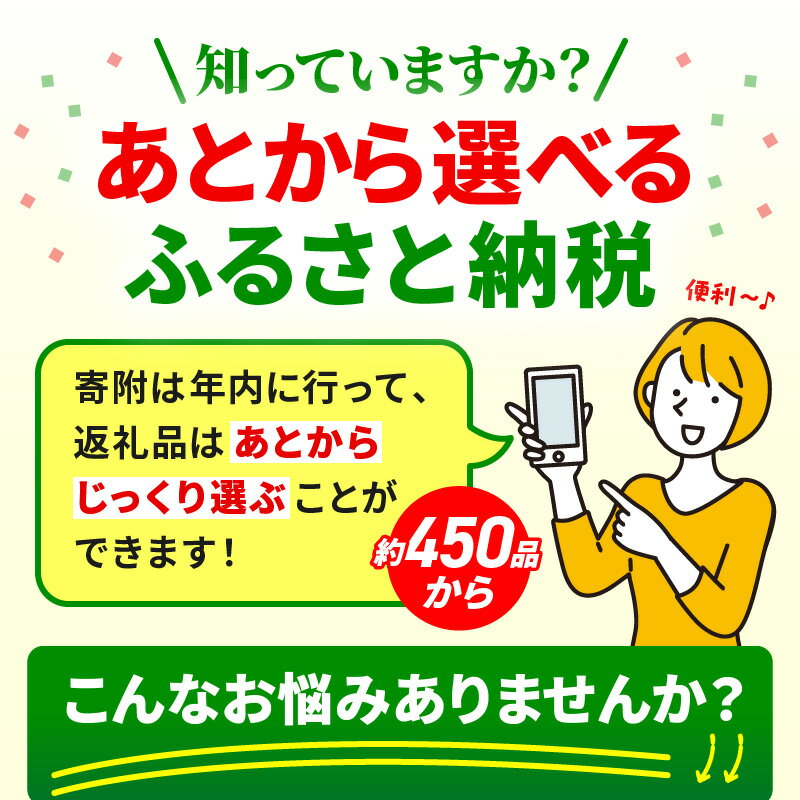 【ふるさと納税】 《金額別で選べる》 あとからセレクト 【ふるさとギフト】 宮崎牛 牛肉 豚肉 鶏肉 肉 牛タン 米 果物 あとから選べる フルーツ マンゴー 野菜 観光 旅行 体験 焼肉 惣菜 餃子 炭火焼 鰻 蒲焼き 焼き鳥 あとから サーモン おせち ギフト ふるさと 宮崎市 - 画像2