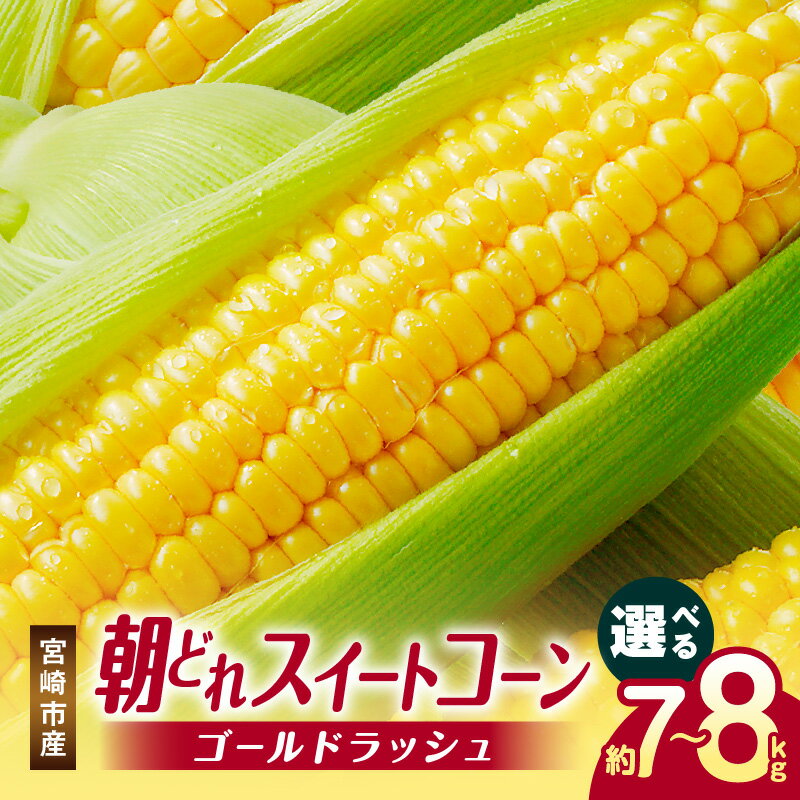 《2026年発送 先行予約》【選べる内容量】【数量・期間限定】宮崎市産朝どれスイートコーン（ゴールドラッシュ）とうもろこし コーン 野菜 新鮮 甘い おいしい 産地直送 高糖度 グルメ お取り寄せ おすすめ 冷蔵 宮崎県産 宮崎県 宮崎市 送料無料