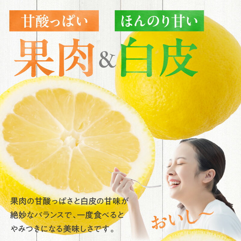 【ふるさと納税】《2026年発送 先行予約》【数量・期間限定】宮崎県産日向夏 2.5kg 化粧箱入り 果物 フルーツ 果実 青果物 生鮮食品 柑橘 柑橘類 デザート スイーツ 化粧箱 贈答 贈答用 プレゼント ギフト お歳暮 お中元 お祝い 内祝い グルメ お取り寄せ 宮崎県 宮崎市 サムネイル3