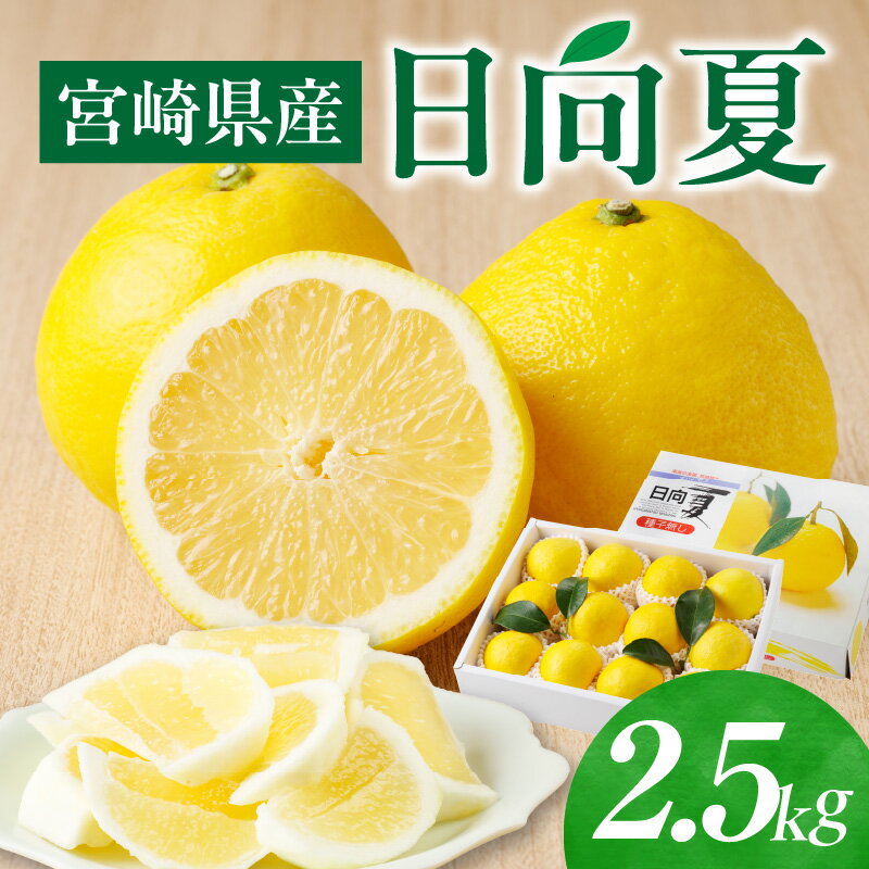 《2026年発送 先行予約》【数量・期間限定】宮崎県産日向夏 2.5kg 化粧箱入り 果物 フルーツ 果実 青果物 生鮮食品 柑橘 柑橘類 デザート スイーツ 化粧箱 贈答 贈答用 プレゼント ギフト お歳暮 お中元 お祝い 内祝い グルメ お取り寄せ 宮崎県 宮崎市