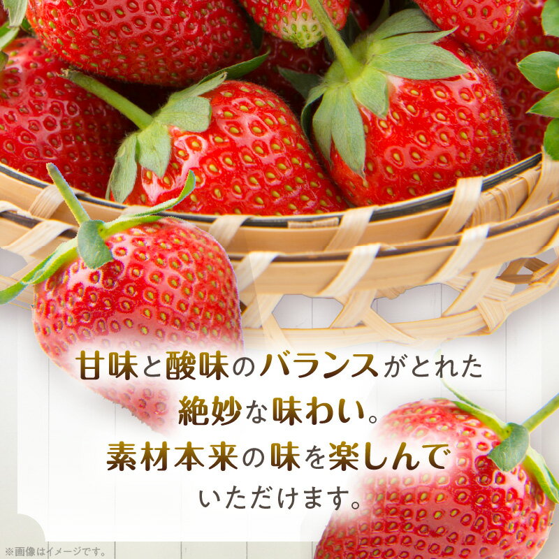 【ふるさと納税】《2026年発送 先行予約》【数量・期間限定】宮崎県産イチゴ 250g×2パック 果物 フルーツ 果実 果肉 青果物 農産物 デザート スイーツ ご褒美 おすそ分け パック 小分け おすすめ グルメ お取り寄せ 旬 季節 旬の果物 季節の果物 宮崎県 宮崎市 送料無料 サムネイル3
