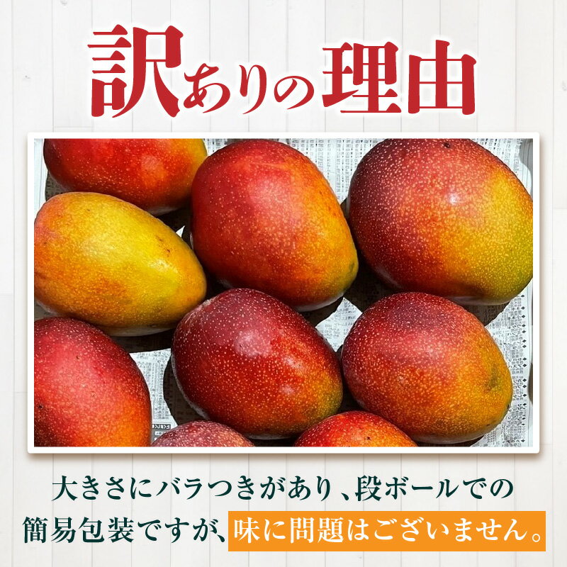 【ふるさと納税】《2026年発送 先行予約》【数量・期間限定】宮崎県産 訳あり完熟マンゴー 1.2kg 果物 フルーツ 果実 果肉 青果物 農産物 デザート スイーツ ご褒美 おすそ分け おすすめ グルメ お取り寄せ 家庭用 旬 季節 旬の果物 季節の果物 南国フルーツ 宮崎市 送料無料 サムネイル3