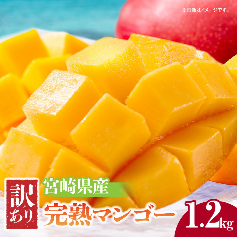 《2026年発送 先行予約》【数量・期間限定】宮崎県産 訳あり完熟マンゴー 1.2kg 果物 フルーツ 果実 果肉 青果物 農産物 デザート スイーツ ご褒美 おすそ分け おすすめ グルメ お取り寄せ 家庭用 旬 季節 旬の果物 季節の果物 南国フルーツ 宮崎市 送料無料