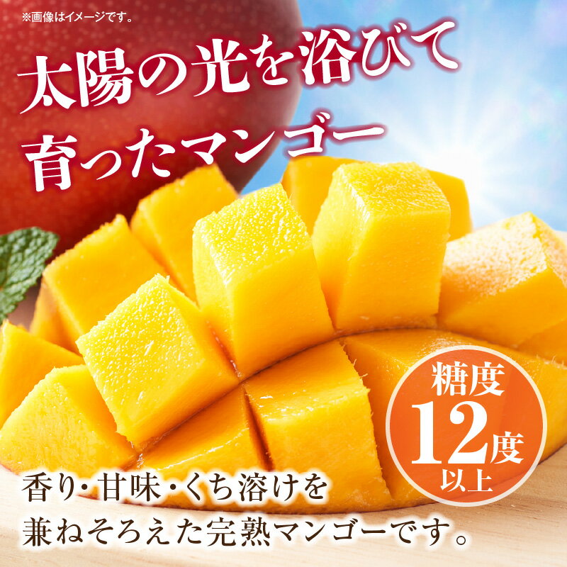 【ふるさと納税】《2026年発送 先行予約》【数量・期間限定】宮崎県産完熟マンゴー 2L×2玉 果物 フルーツ 果実 果肉 青果物 農産物 デザート スイーツ ご褒美 おすそ分け 贈り物 ギフト おすすめ グルメ お取り寄せ 旬 季節 旬の果物 季節の果物 宮崎県 宮崎市 送料無料 サムネイル2