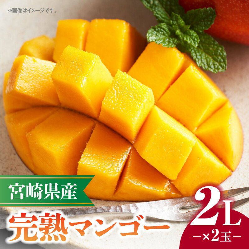 《2026年発送 先行予約》【数量・期間限定】宮崎県産完熟マンゴー 2L×2玉 果物 フルーツ 果実 果肉 青果物 農産物 デザート スイーツ ご褒美 おすそ分け 贈り物 ギフト おすすめ グルメ お取り寄せ 旬 季節 旬の果物 季節の果物 宮崎県 宮崎市 送料無料