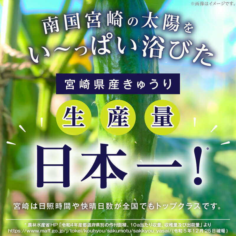 【ふるさと納税】てげうま きゅうり 5kg ひなたGAP 宮崎県産 野菜 生野菜 胡瓜 ウリ科 旬 新鮮 料理 アレンジ サラダ 漬物 酢の物 炒め物 きゅうりキムチ キムチ 冷やし中華 バンバンジー おつまみ つまみ おすそ分け 贈り物 ギフト 冷蔵 宮崎県 宮崎市 送料無料 - 画像2