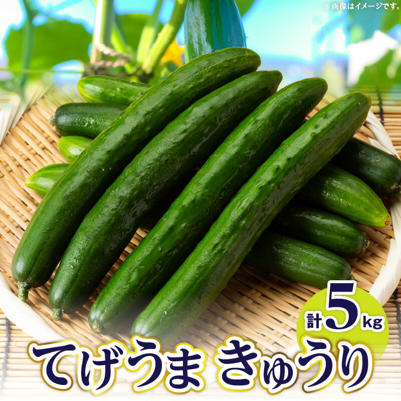 てげうま きゅうり 5kg ひなたGAP 宮崎県産 野菜 生野菜 胡瓜 ウリ科 旬 新鮮 料理 アレンジ サラダ 漬物 酢の物 炒め物 きゅうりキムチ キムチ 冷やし中華 バンバンジー おつまみ つまみ おすそ分け 贈り物 ギフト 冷蔵 宮崎県 宮崎市 送料無料