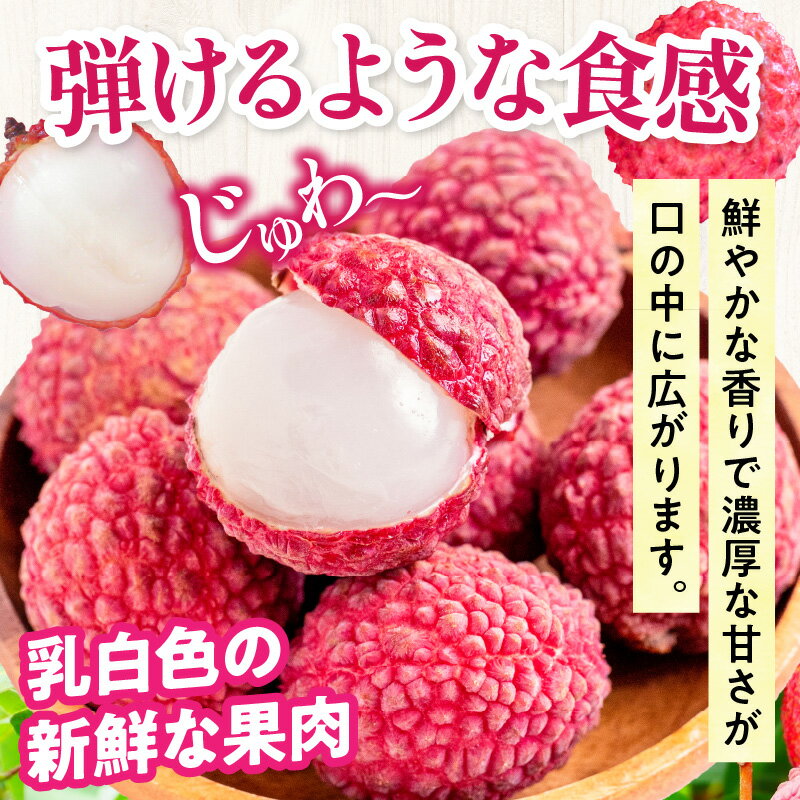 【ふるさと納税】《2026年発送 先行予約》【数量・期間限定】宮崎生ライチ ライチ 果物 フルーツ 青果物 スイーツ デザート 宮崎県産 国産 果実 国産ライチ 生ライチ トロピカルフルーツ トロピカル 南国フルーツ 旬 季節 旬のフルーツ 季節のフルーツ 旬の果物 季節の果物 サムネイル3