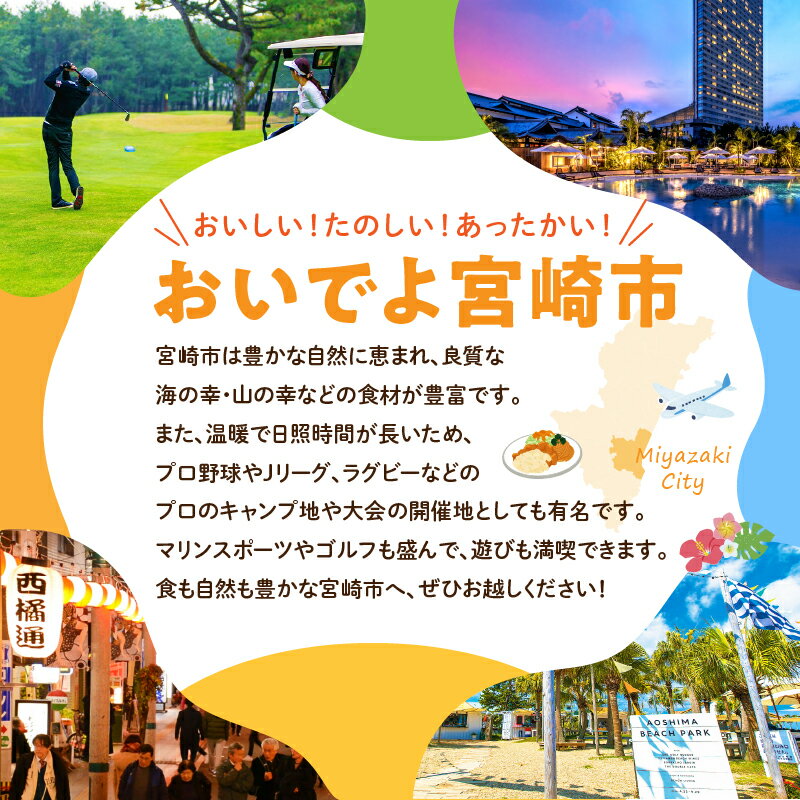 【ふるさと納税】【利用可能期間：3年間】宮崎県宮崎市の対象施設で使える楽天トラベルクーポン 寄附額110,000円 国内 宿泊 旅行クーポン チケット クーポン券 温泉 九州 観光 宮崎県 宮崎市 サムネイル3