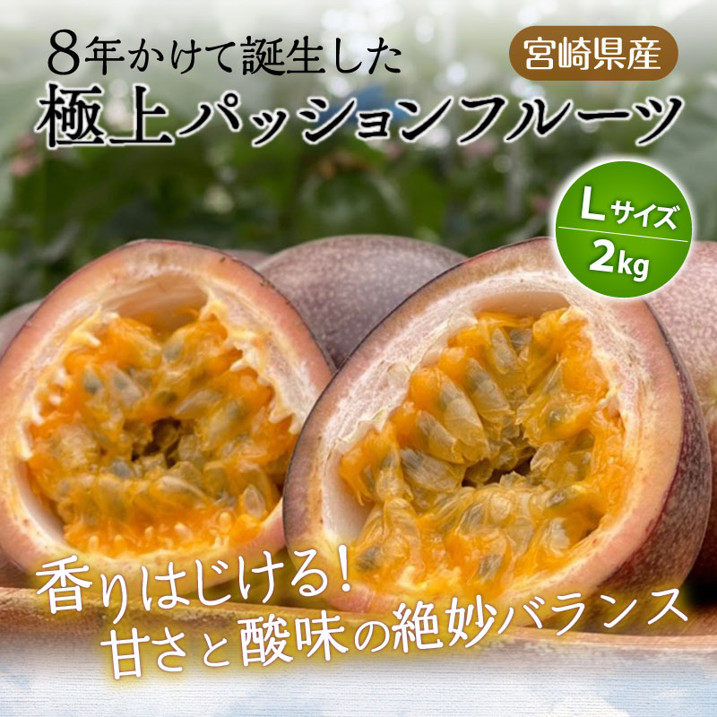 【ふるさと納税】《2026年発送 先行予約》【数量・期間限定】8年かけて誕生した宮崎県産極上パッションフルーツL 2kg ルビースター サマークイーン 果物 フルーツ 果実 果肉 国産 宮崎県産 炭酸水 焼酎 ドリンク フルーツ ギフト お土産 おすそ分け おすすめ 宮崎市 サムネイル2