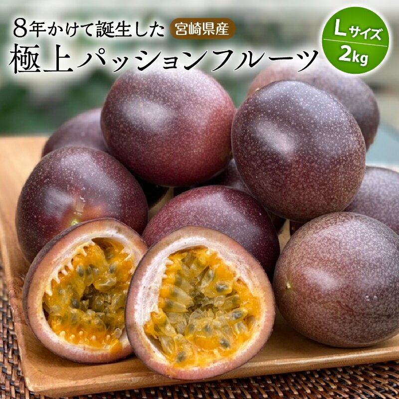 《2026年発送 先行予約》【数量・期間限定】8年かけて誕生した宮崎県産極上パッションフルーツL 2kg ルビースター サマークイーン 果物 フルーツ 果実 果肉 国産 宮崎県産 炭酸水 焼酎 ドリンク フルーツ ギフト お土産 おすそ分け おすすめ 宮崎市