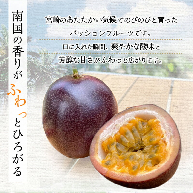 【ふるさと納税】《2026年発送 先行予約》【数量・期間限定】8年かけて誕生した宮崎県産極上パッションフルーツL 2kg ルビースター サマークイーン 果物 フルーツ 果実 果肉 国産 宮崎県産 炭酸水 焼酎 ドリンク フルーツ ギフト お土産 おすそ分け おすすめ 宮崎市 サムネイル3