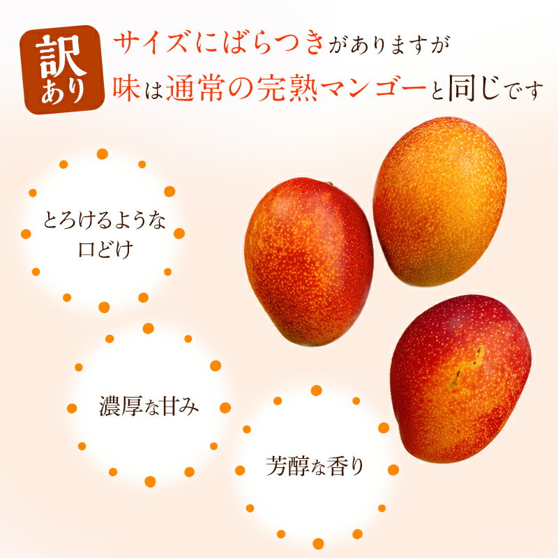 【ふるさと納税】《2026年発送 先行予約》【数量・期間限定】【訳あり】 完熟マンゴー 合計約1kg (2〜3玉) マンゴー 完熟 訳あり品 バラつき 不揃い 色ムラ 傷 規格外 ご家庭用 家庭用 自宅用 訳ありマンゴー 果物 フルーツ 果実 特産品 季節 旬 宮崎県 宮崎市 送料無料 サムネイル3