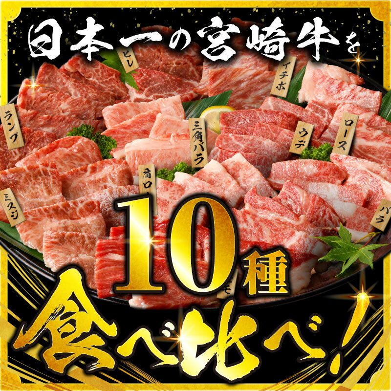 【ふるさと納税】TBSテレビ系列「ひるおび」で紹介！高評価★4.66【発送時期が選べる】宮崎牛焼肉10種盛り合わせ 宮崎牛 A4 焼肉 10種 食べ比べ お肉 セット 焼肉セット 牛肉 赤身 肉 国産 サムネイル2