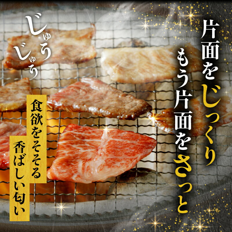 【ふるさと納税】TBSテレビ系列「ひるおび」で紹介！高評価★4.66【発送時期が選べる】宮崎牛焼肉10種盛り合わせ 宮崎牛 A4 焼肉 10種 食べ比べ お肉 セット 焼肉セット 牛肉 赤身 肉 国産 サムネイル3