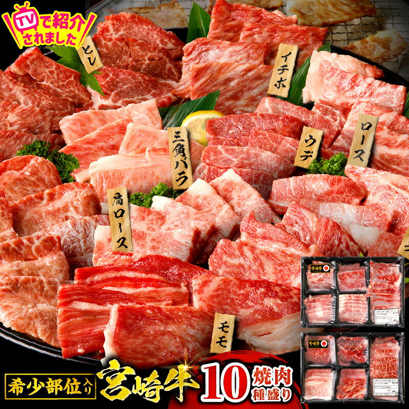 TBSテレビ系列「ひるおび」で紹介！高評価★4.66【発送時期が選べる】宮崎牛焼肉10種盛り合わせ 宮崎牛 A4 焼肉 10種 食べ比べ お肉 セット 焼肉セット 牛肉 赤身 肉 国産