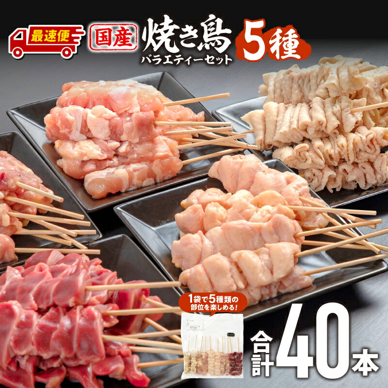 【発送時期が選べる】若鶏の焼き鳥セット5種(40本)バラエティーセット 焼き鳥 串焼き 焼き鳥串 セット 詰め合わせ もも せせり 皮 ぼんじり 砂肝 部位 国産 鶏肉 肉 お肉 BBQ 若鶏 冷凍 パック 焼鳥セット おすそ分け おかず 惣菜 お惣菜 ふるさと
