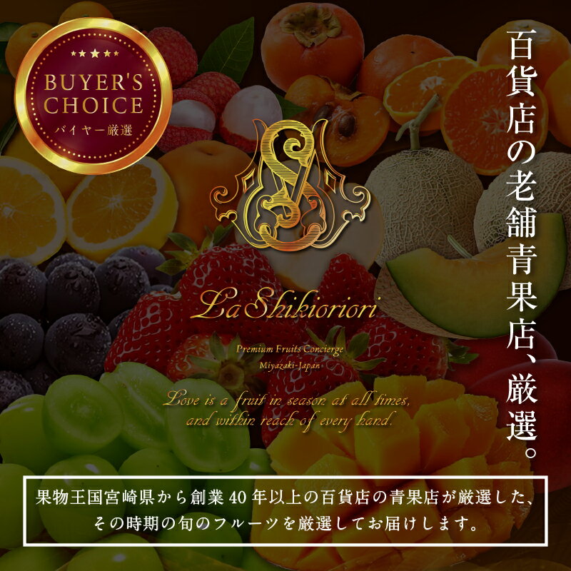 【ふるさと納税】青果店厳選！「くだもの定期便Vol.2」(全9回) 定期便 果物 フルーツ 青果 青果物 果物定期便 フルーツ定期便 旬の果物 季節の果物 旬 季節 いちご きんかん 日向夏 マンゴー メロン みかん 柑橘 柑橘類 お取り寄せ グルメ 人気 おすすめ 宮崎県 宮崎市 サムネイル2