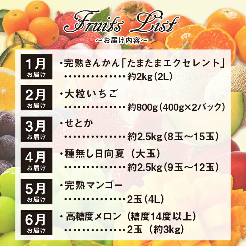 【ふるさと納税】《2026年発送先行予約》【数量・期間限定】贈答用にもオススメ!バイヤー厳選!「至極フルーツ定期便」(全6回) 果物 フルーツ 定期便 フルーツ 詰め合わせ セット 旬のフルーツ 旬 季節のフルーツ きんかん いちご せとか 日向夏 マンゴー メロン 宮崎市 サムネイル3
