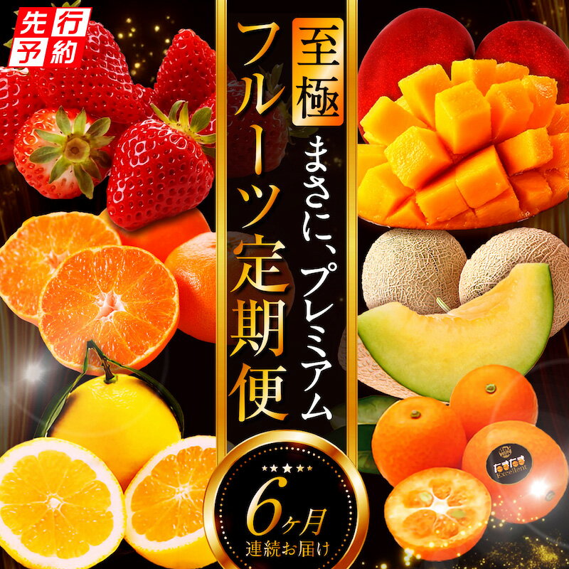 《2026年発送先行予約》【数量・期間限定】贈答用にもオススメ!バイヤー厳選!「至極フルーツ定期便」(全6回) 果物 フルーツ 定期便 フルーツ 詰め合わせ セット 旬のフルーツ 旬 季節のフルーツ きんかん いちご せとか 日向夏 マンゴー メロン 宮崎市