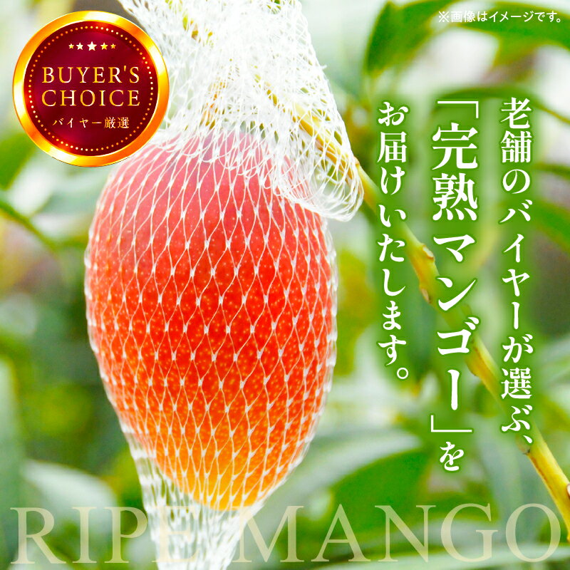 【ふるさと納税】《2026年発送 先行予約》【数量・期間限定】 完熟マンゴー 4L 2玉 定期便 全3回 完熟 マンゴー 果物 フルーツ 旬 旬の果物 スイーツ デザート 青果物 贈り物 ギフト プレゼント 贈答 おすそ分け ご褒美 定期 南国フルーツ 宮崎 おすすめ 宮崎県 宮崎市 サムネイル2