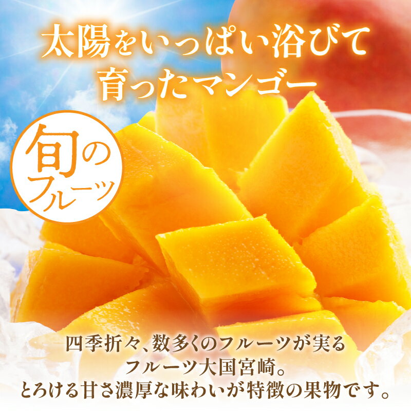 【ふるさと納税】《2026年発送 先行予約》【数量・期間限定】 完熟マンゴー 4L 2玉 定期便 全3回 完熟 マンゴー 果物 フルーツ 旬 旬の果物 スイーツ デザート 青果物 贈り物 ギフト プレゼント 贈答 おすそ分け ご褒美 定期 南国フルーツ 宮崎 おすすめ 宮崎県 宮崎市 サムネイル3