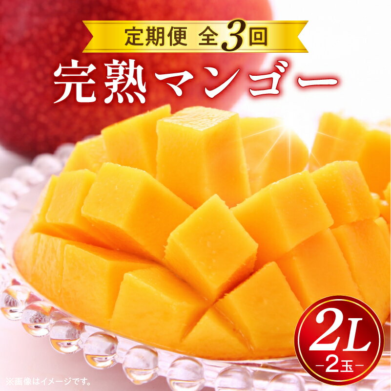 《2026年発送 先行予約》【数量・期間限定】 完熟マンゴー 2L 2玉 定期便 全3回 完熟 マンゴー 果物 フルーツ 旬 旬の果物 スイーツ デザート 青果物 贈り物 ギフト プレゼント 贈答 おすそ分け ご褒美 定期 南国フルーツ 宮崎 おすすめ 宮崎県 宮崎市
