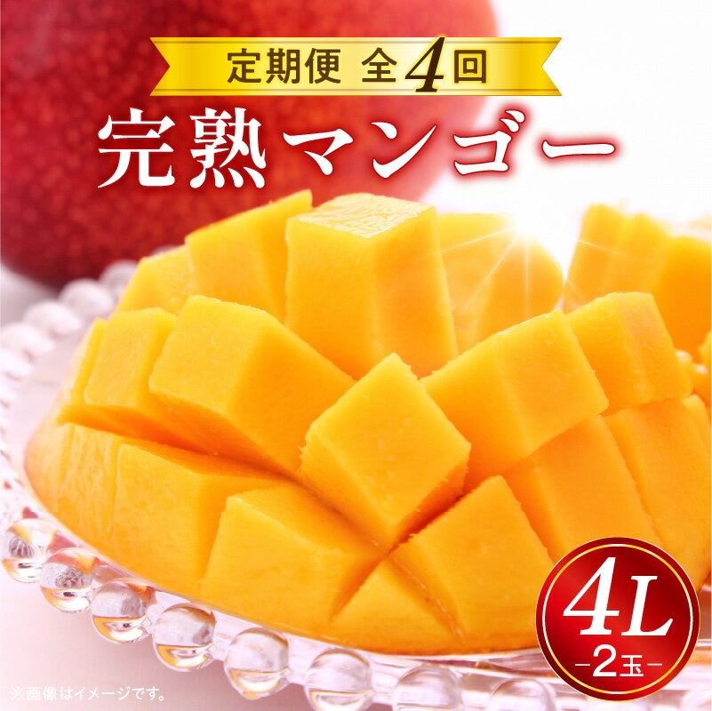 《2026年発送 先行予約》【数量・期間限定】完熟マンゴー4L×2玉定期便 全4回 くだもの 定期便 果物定期便 フルーツ定期便 定期 マンゴー 完熟マンゴー フルーツ 旬 旬の果物 旬のフルーツ 季節の果物 季節のフルーツ おすすめ 旬の時期 宮崎市 送料無料