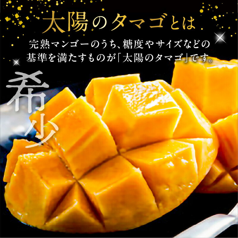 【ふるさと納税】《2026年発送 先行予約》【数量・期間限定】 太陽のタマゴ 2L 2玉 定期便 全3回 完熟 マンゴー 果物 フルーツ ブランド 旬 旬の果物 スイーツ デザート 青果物 贈り物 ギフト プレゼント 贈答 おすそ分け ご褒美 定期 南国フルーツ 宮崎 おすすめ 宮崎市 サムネイル2