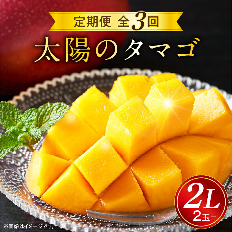 《2026年発送 先行予約》【数量・期間限定】 太陽のタマゴ 2L 2玉 定期便 全3回 完熟 マンゴー 果物 フルーツ ブランド 旬 旬の果物 スイーツ デザート 青果物 贈り物 ギフト プレゼント 贈答 おすそ分け ご褒美 定期 南国フルーツ 宮崎 おすすめ 宮崎市