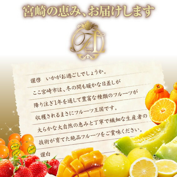 【ふるさと納税】《2026年発送先行予約》【数量・期間限定】旬のくだもの食べきり定期便 果物 フルーツ 定期便 日向夏 いちご きんかん 不知火 メロン マンゴー 種無し日向夏 完熟きんかんたまたま 完熟マンゴー 旬 季節 旬の果物 季節の果物 グルメ 宮崎県 宮崎市 サムネイル2